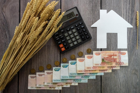 Забайкальским аграриям в 2025 году предусмотрено около 1,5 млрд руб. господдержки